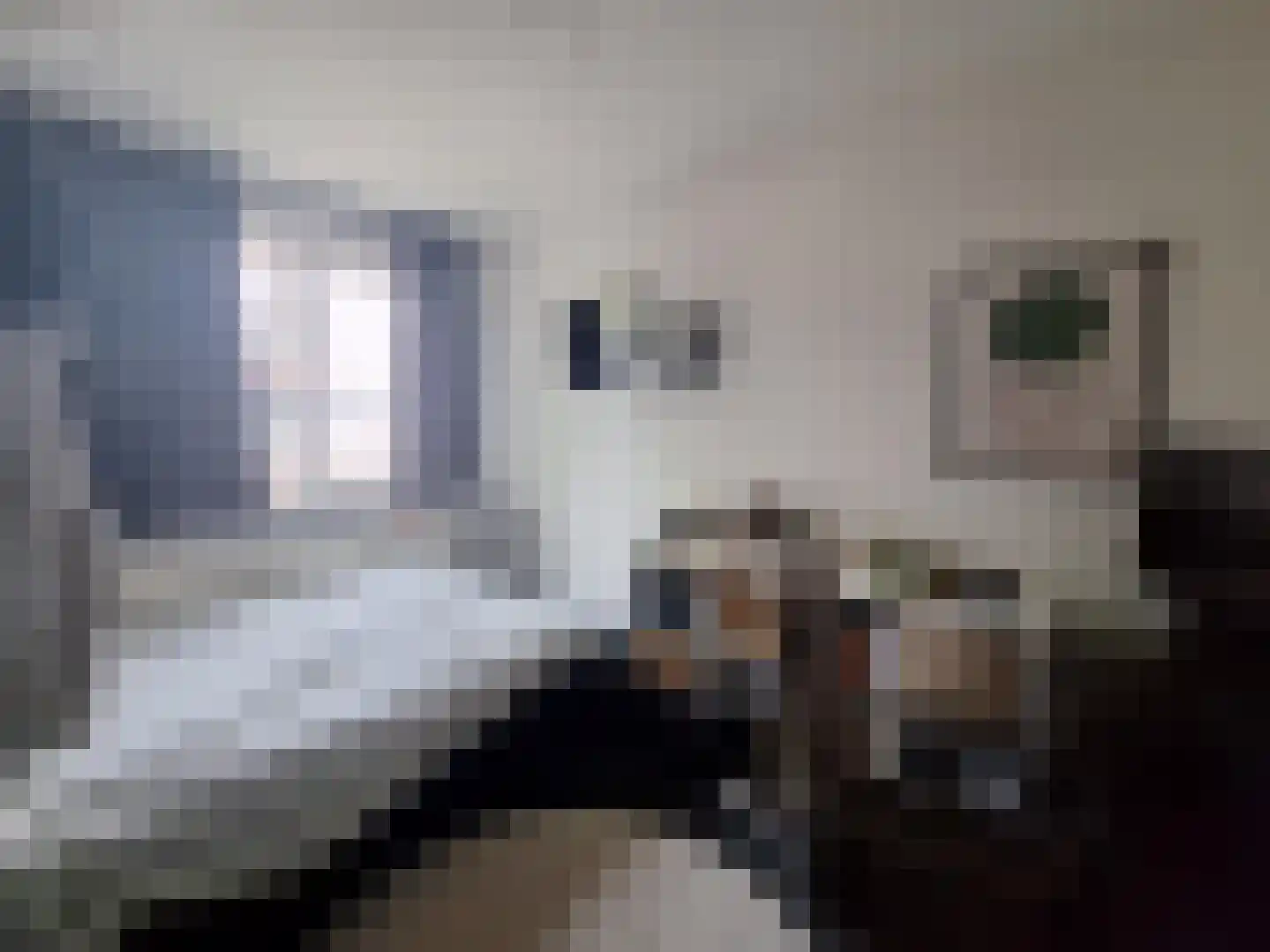 Klundertstraat 11 Eindhoven thumbnail 9