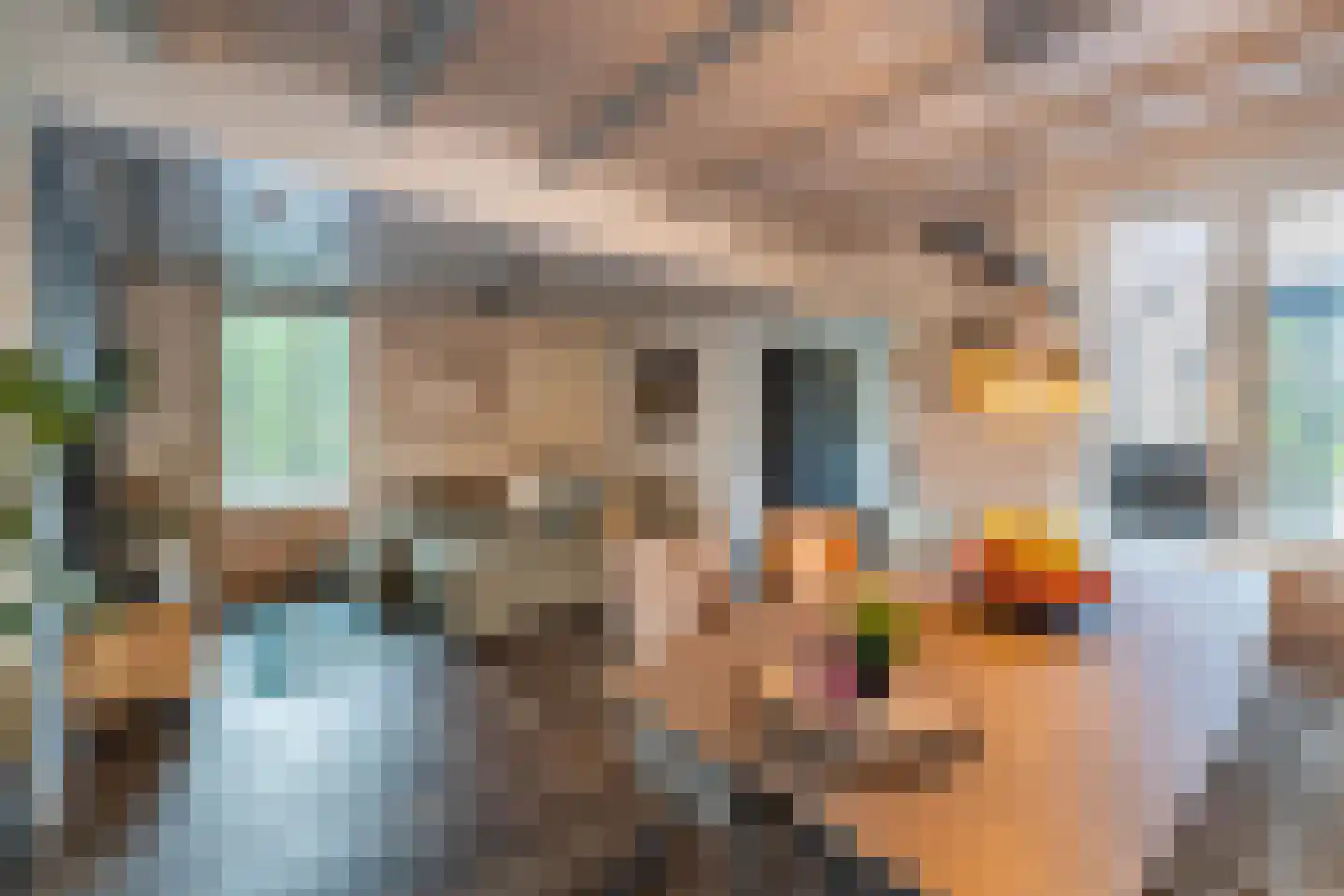 Kluppelshuizenweg 19 Almelo thumbnail 11