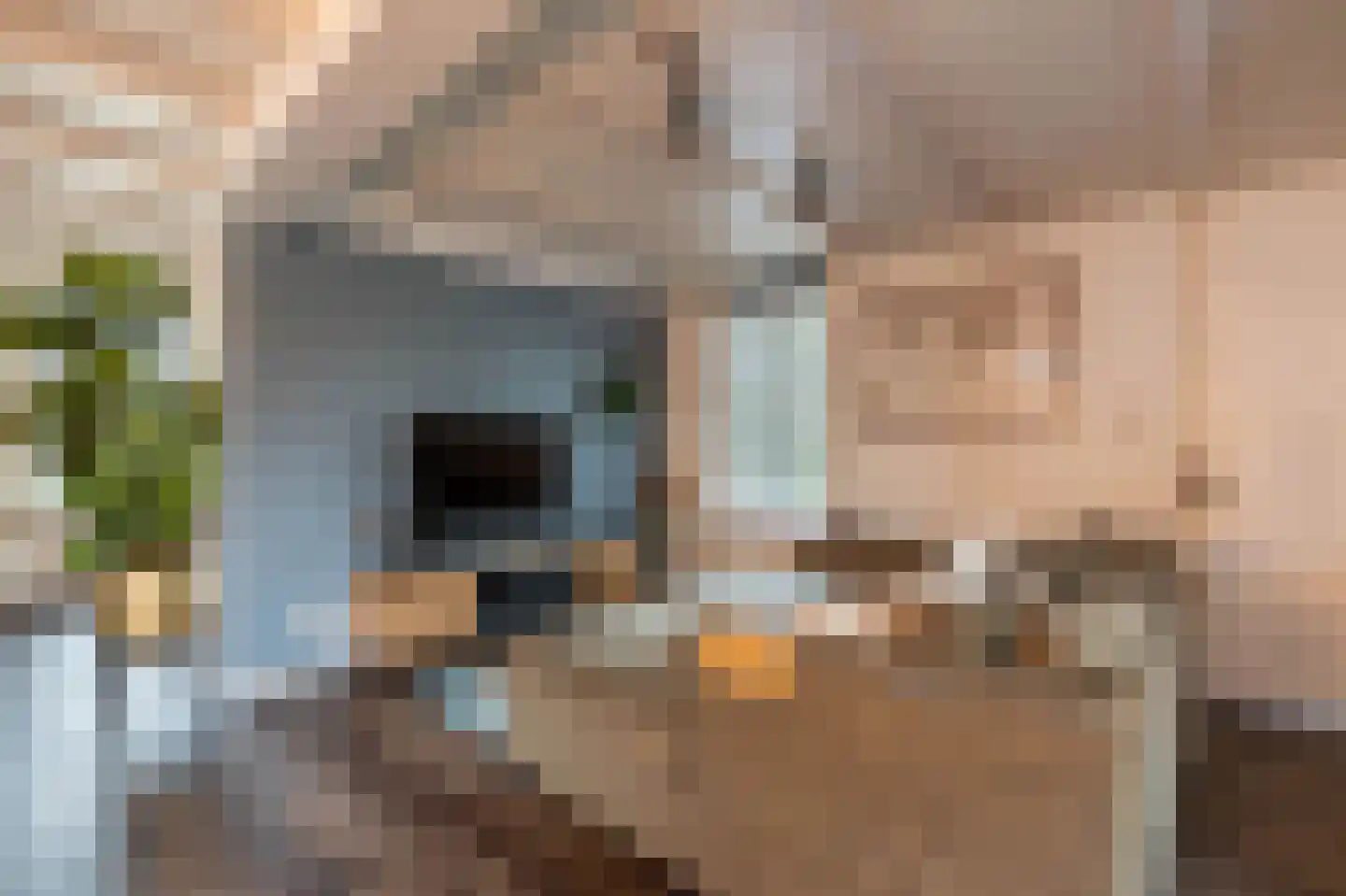 Kluppelshuizenweg 19 Almelo thumbnail 12