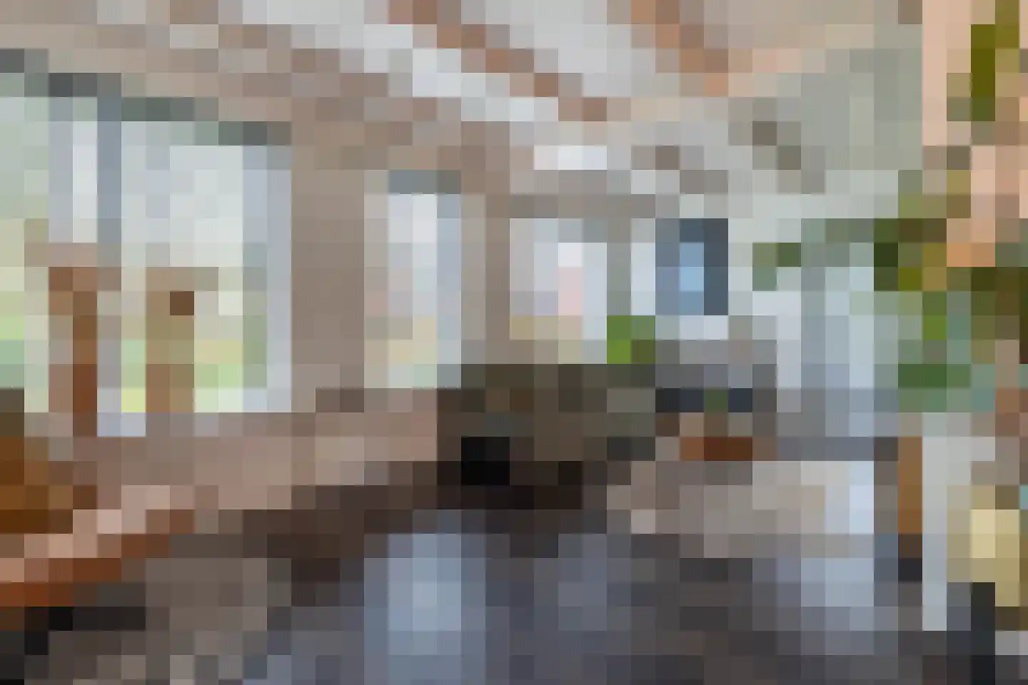 Kluppelshuizenweg 19 Almelo thumbnail 6