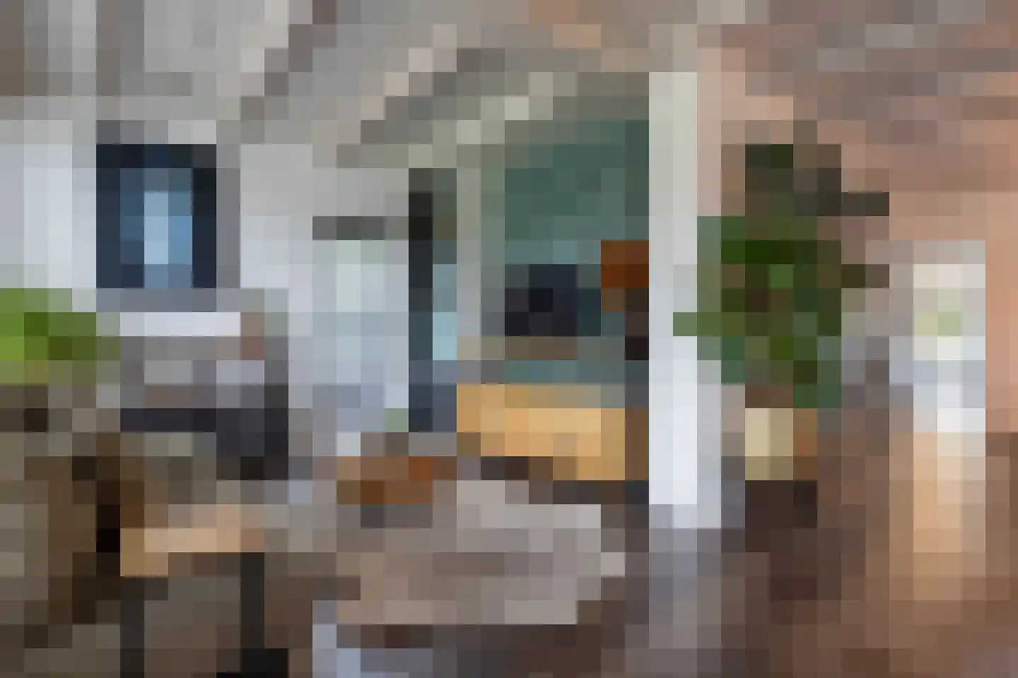 Kluppelshuizenweg 19 Almelo thumbnail 7