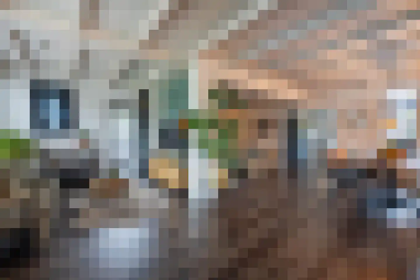 Kluppelshuizenweg 19 Almelo thumbnail 9