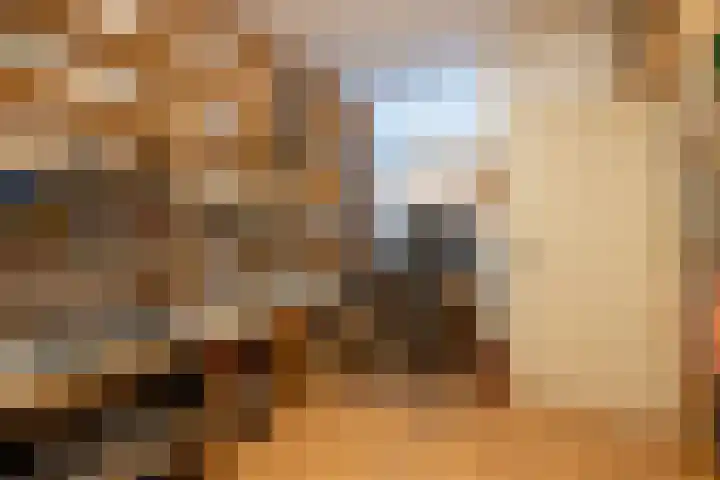 Kluppelshuizenweg 32 Almelo thumbnail 13
