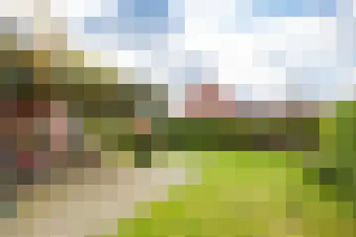 Kluppelshuizenweg 32 Almelo thumbnail 28