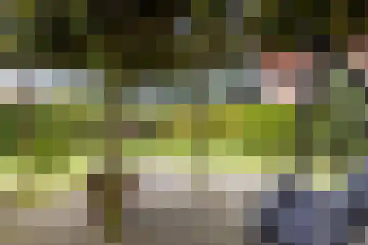 Kluppelshuizenweg 32 Almelo thumbnail 29