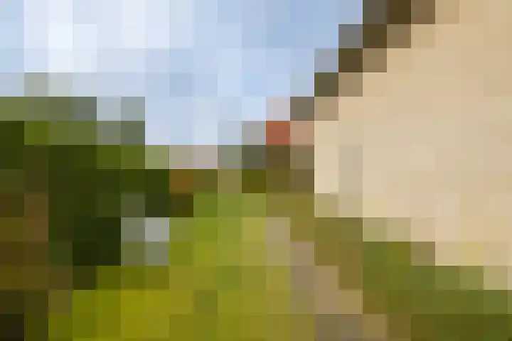 Kluppelshuizenweg 32 Almelo thumbnail 30