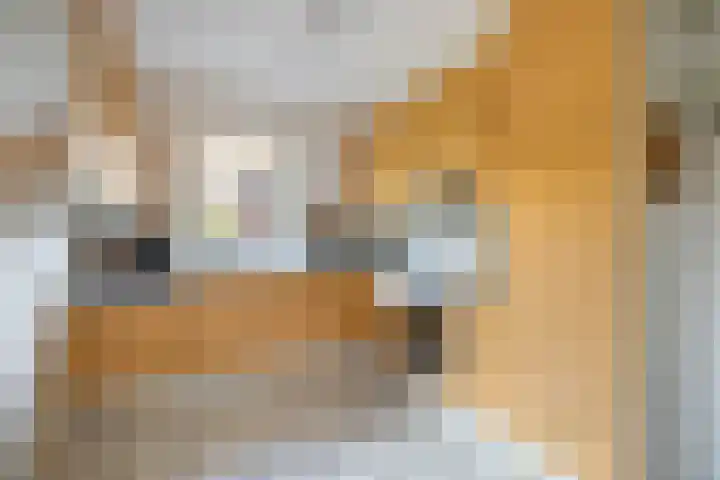 Kluppelshuizenweg 32 Almelo thumbnail 5