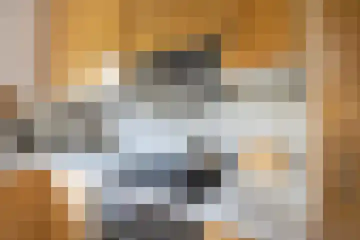 Kluppelshuizenweg 32 Almelo thumbnail 8