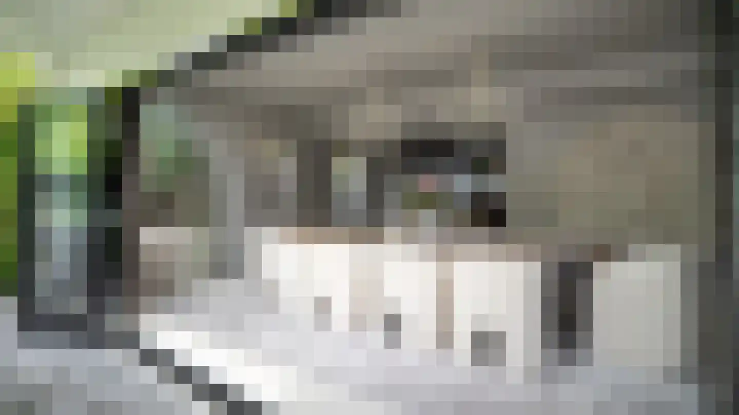 Kluppelshuizenweg 36 Almelo thumbnail 12
