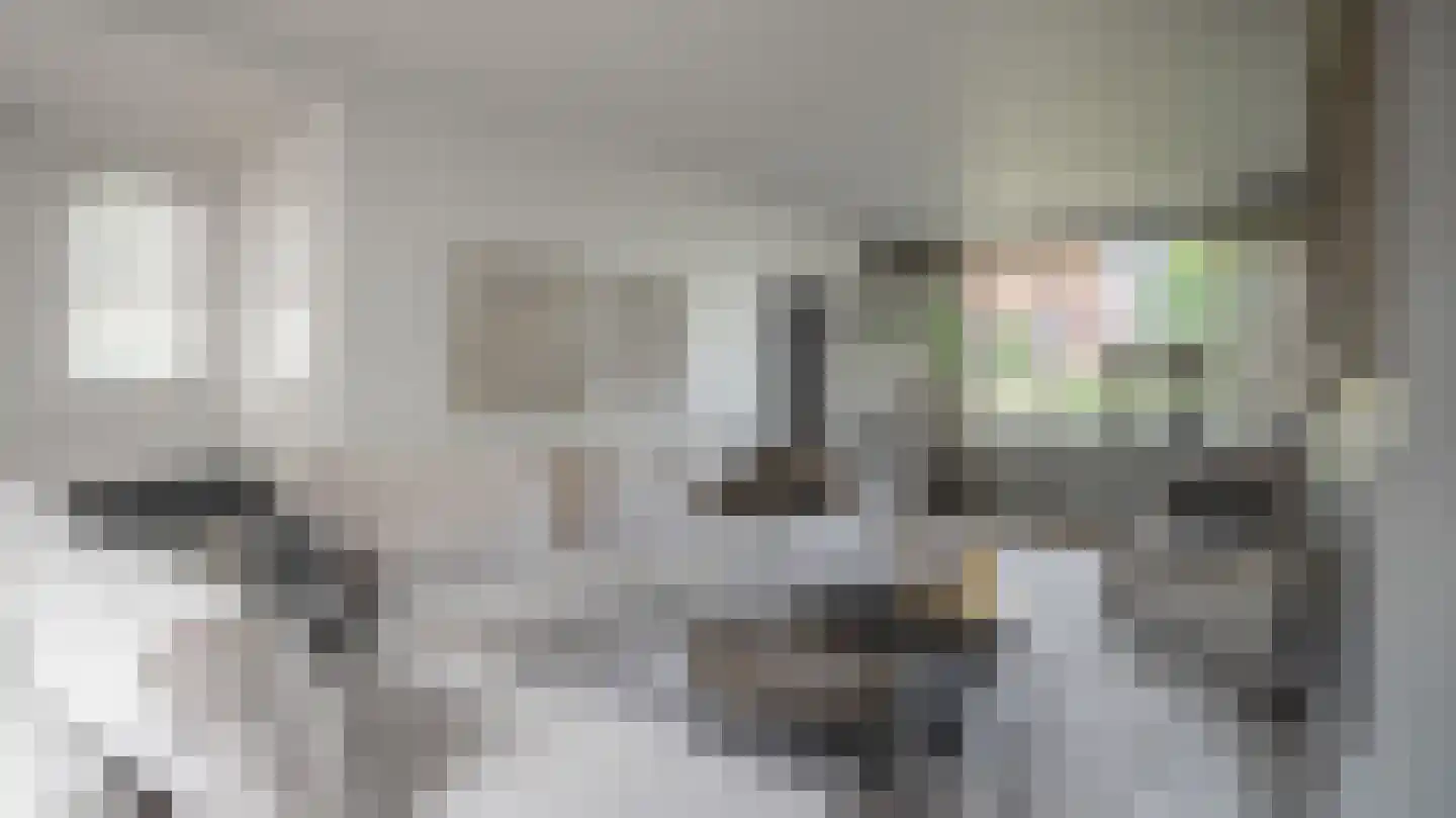 Kluppelshuizenweg 36 Almelo thumbnail 16