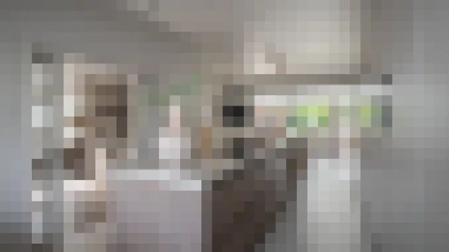 Kluppelshuizenweg 36 Almelo thumbnail 9