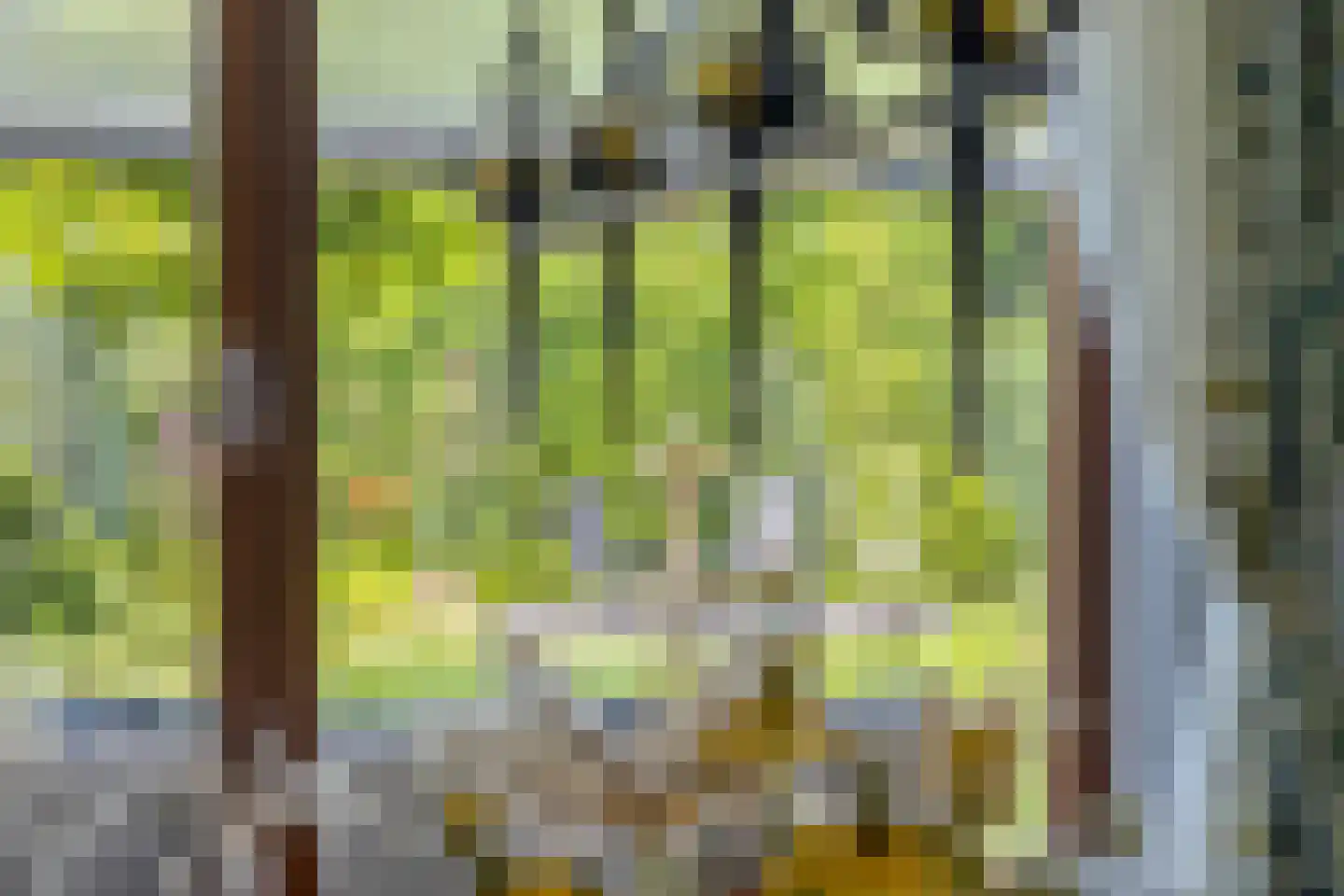 Klutemansstraat 12 Roggel thumbnail 14