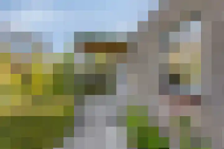Klutenweg 13 Bant thumbnail 12
