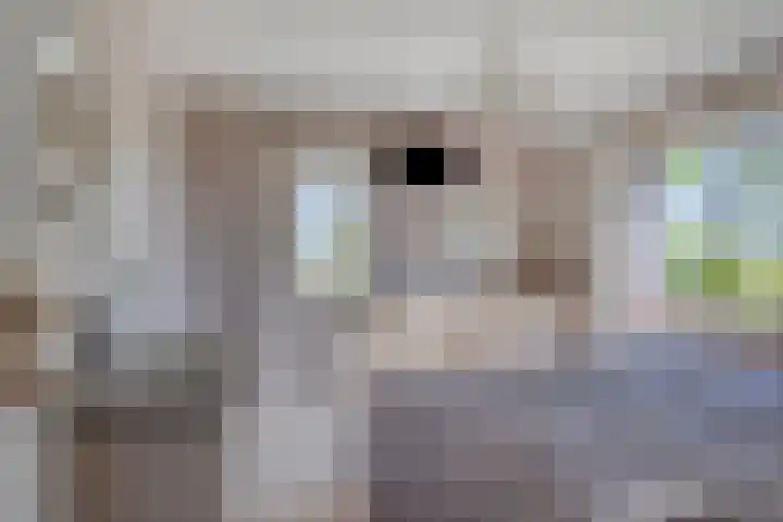 Klutenweg 13 Bant thumbnail 36