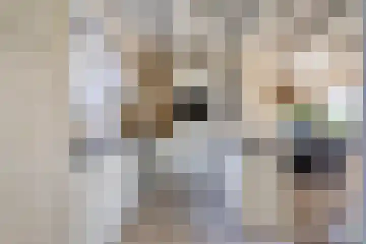 Klutenweg 13 Bant thumbnail 4