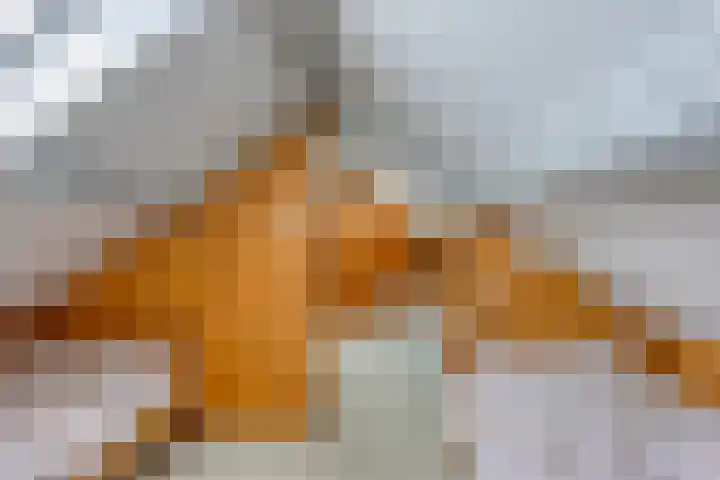 Klutenweg 13 Bant thumbnail 45