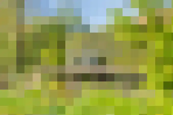 Klutenweg 13 Bant thumbnail 47