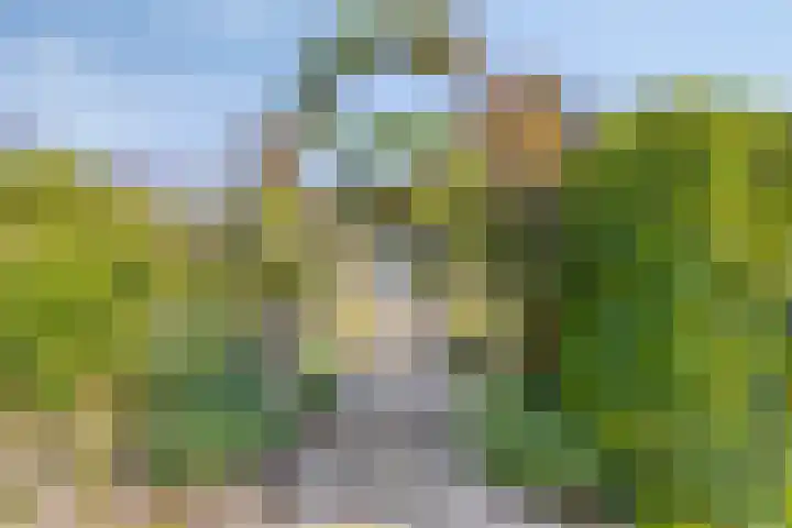 Klutenweg 13 Bant thumbnail 50