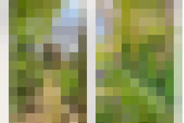 Klutenweg 13 Bant thumbnail 51