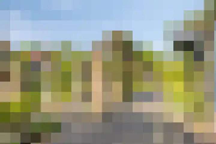 Klutenweg 13 Bant thumbnail 53