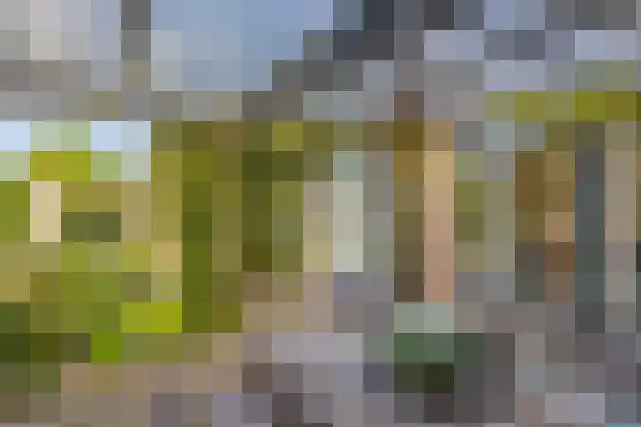 Klutenweg 13 Bant thumbnail 56
