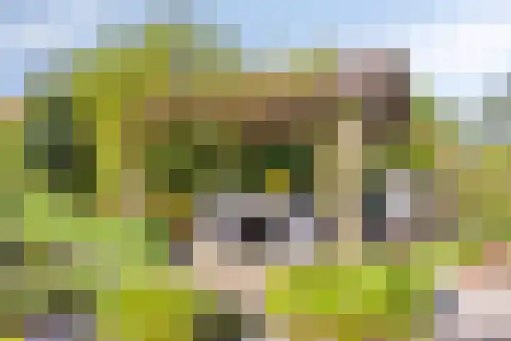 Klutenweg 13 Bant thumbnail 57