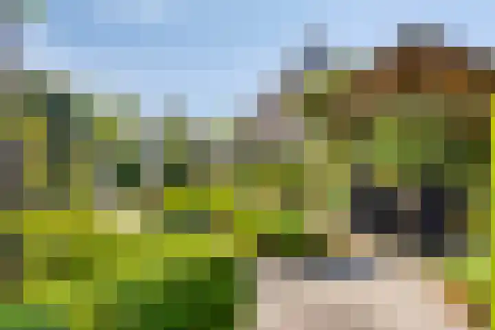 Klutenweg 13 Bant thumbnail 58
