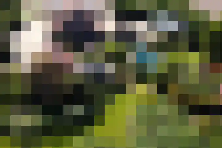 Klutenweg 13 Bant thumbnail 6