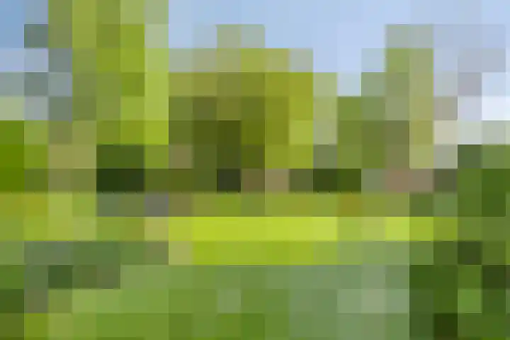 Klutenweg 13 Bant thumbnail 61