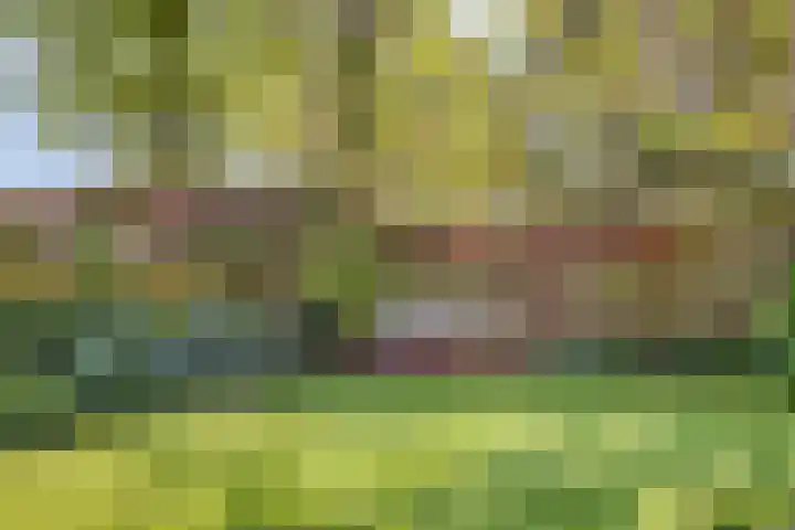 Klutenweg 13 Bant thumbnail 62