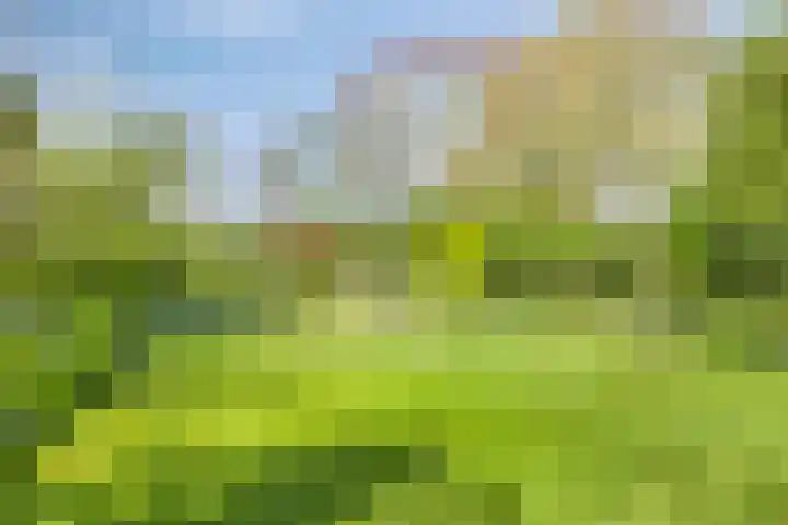 Klutenweg 13 Bant thumbnail 63
