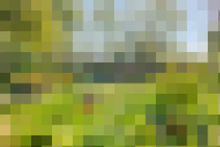 Klutenweg 13 Bant thumbnail 64