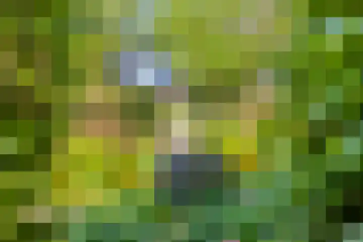 Klutenweg 13 Bant thumbnail 65