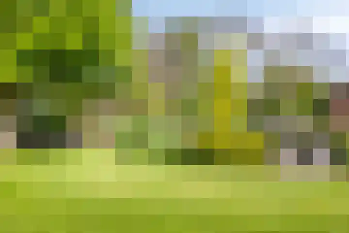 Klutenweg 13 Bant thumbnail 67