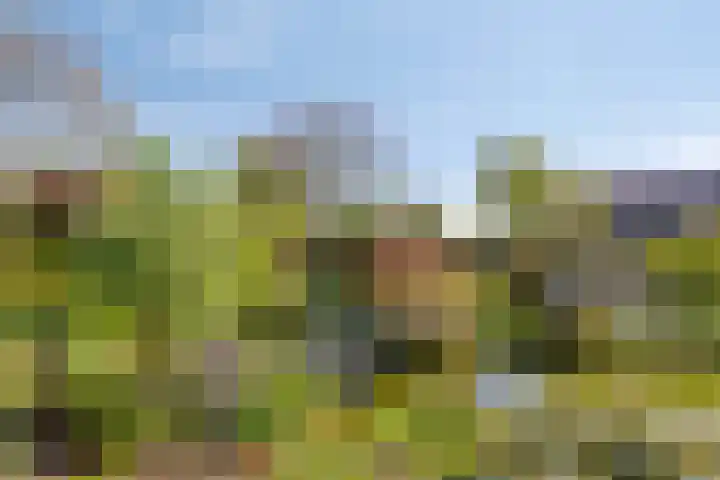 Klutenweg 13 Bant thumbnail 68