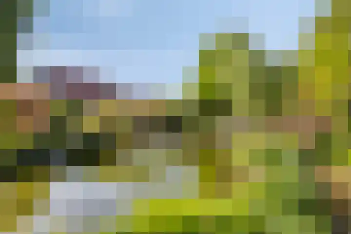 Klutenweg 13 Bant thumbnail 69