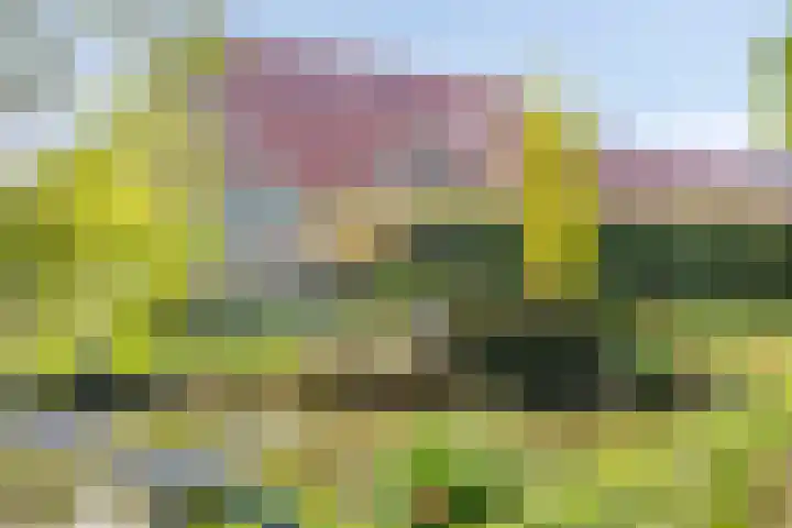 Klutenweg 13 Bant thumbnail 70