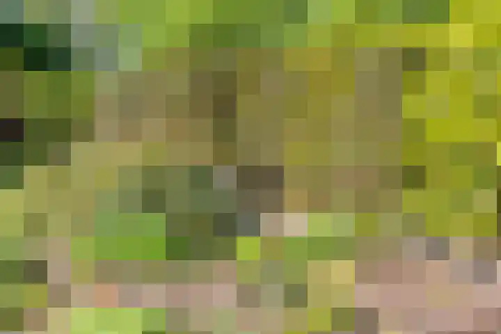 Klutenweg 13 Bant thumbnail 71