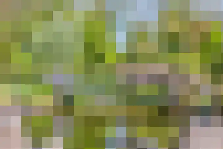 Klutenweg 13 Bant thumbnail 72