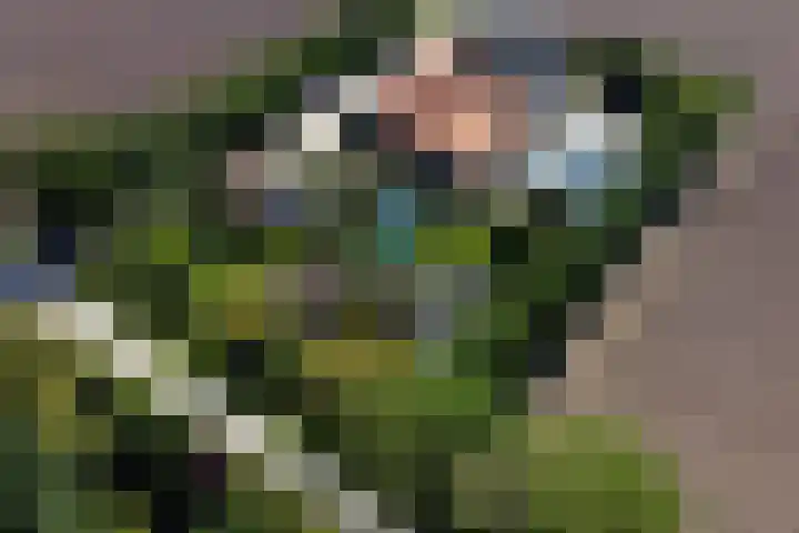 Klutenweg 13 Bant thumbnail 79