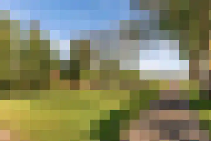 Klutenweg 14 C Bant thumbnail 10