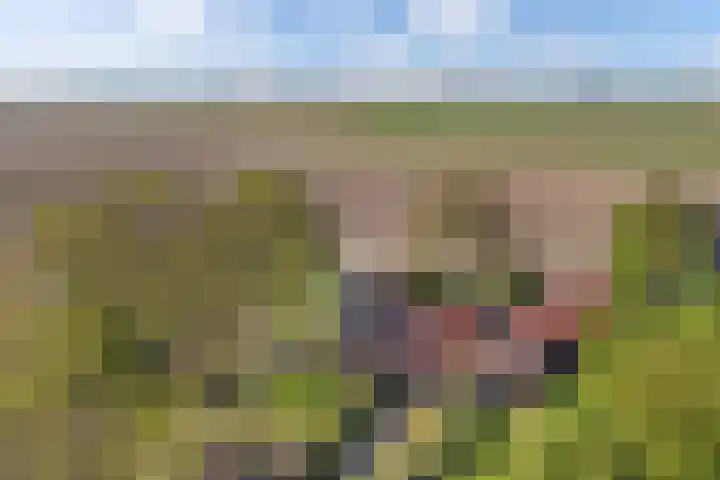 Klutenweg 14 C Bant thumbnail 17