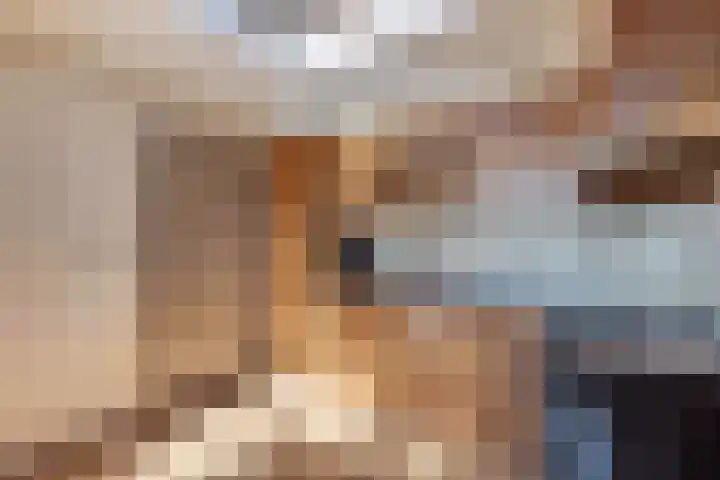 Klutenweg 14 C Bant thumbnail 34