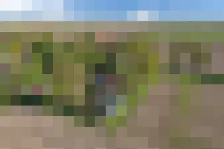 Klutenweg 14 C Bant thumbnail 50