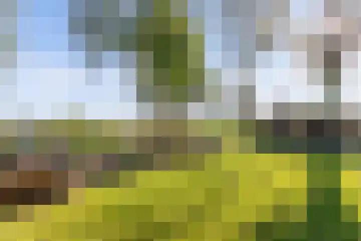 Klutenweg 14 C Bant thumbnail 9