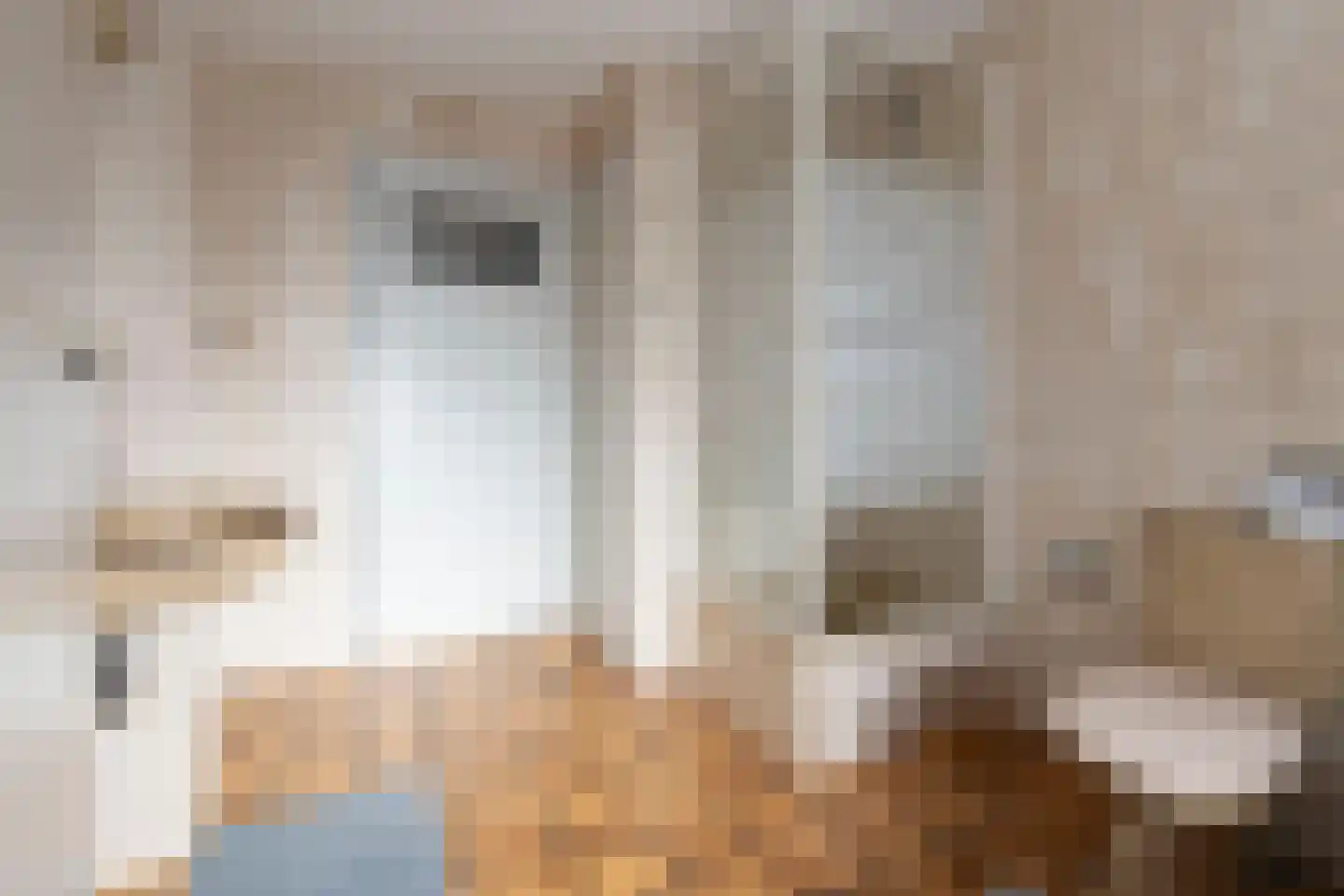 Klutjesstraat 3 Stramproy thumbnail 22