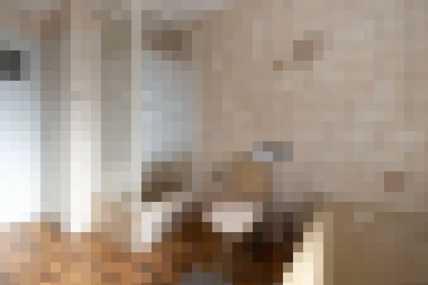 Klutjesstraat 3 Stramproy thumbnail 25