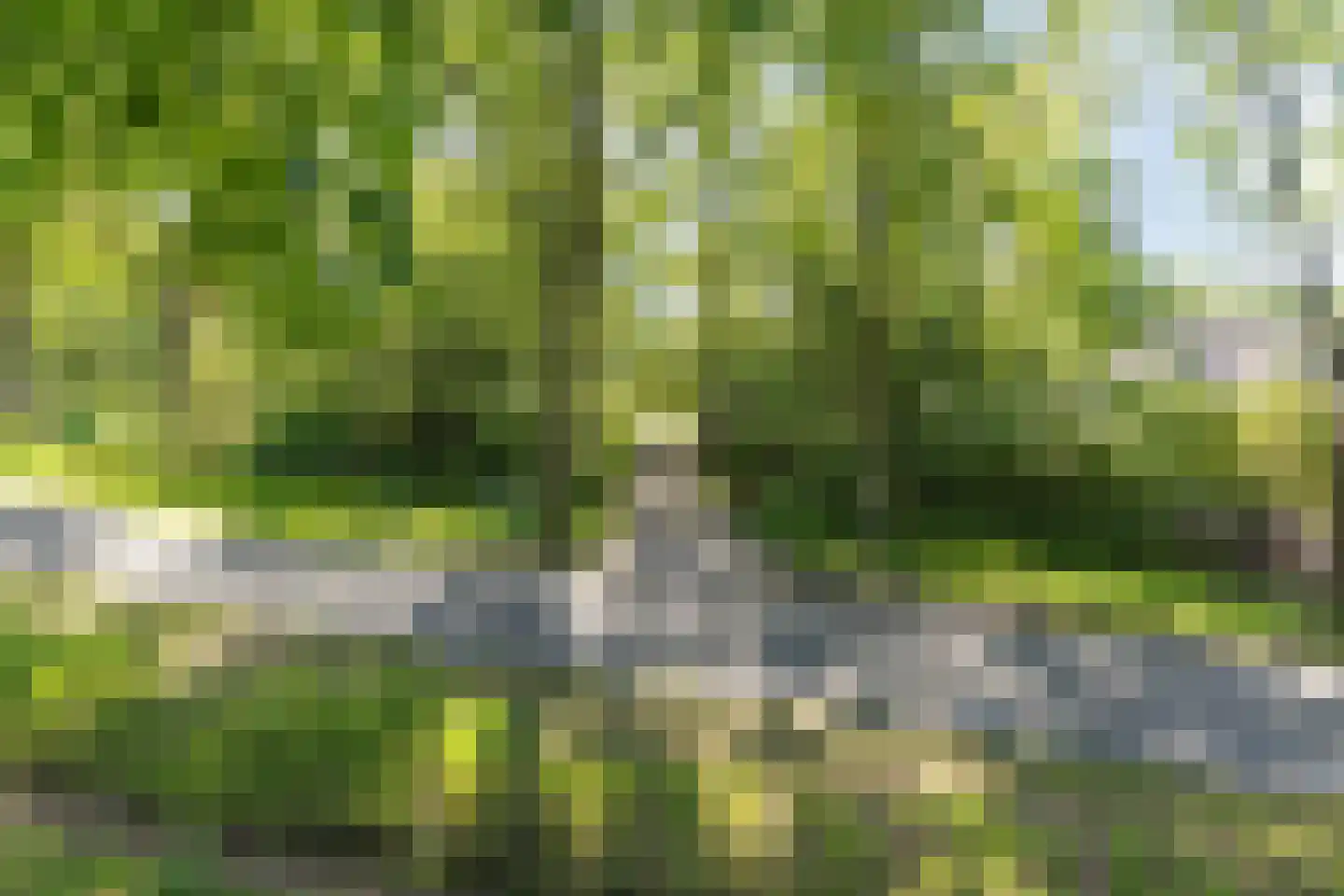 Klutsdorpseweg 12 Lepelstraat thumbnail 68