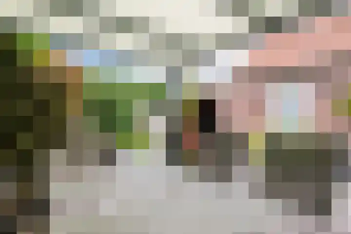 Kluttershoek 1 Soerendonk thumbnail 34