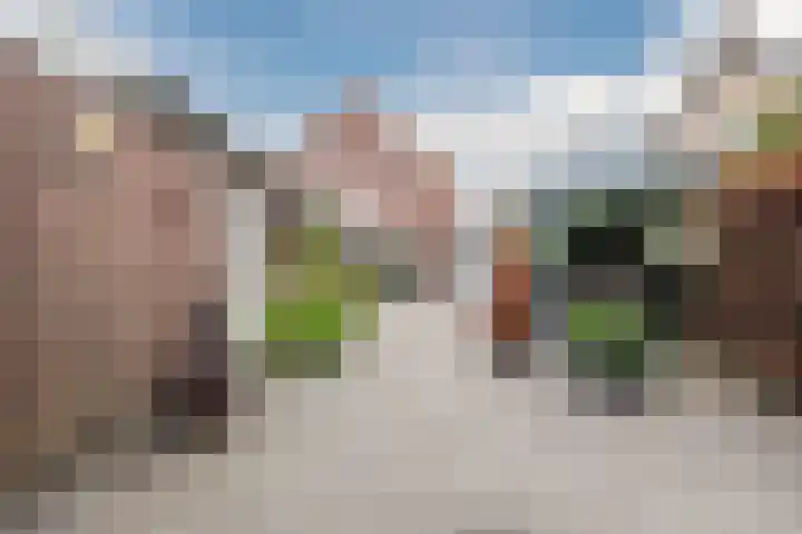 Kluttershoek 1 Soerendonk thumbnail 35